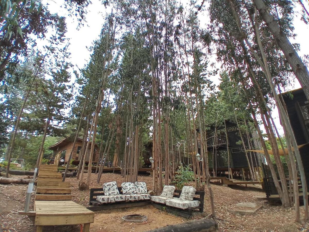 Lodge Terra Mar 皮奇勒姆 外观 照片