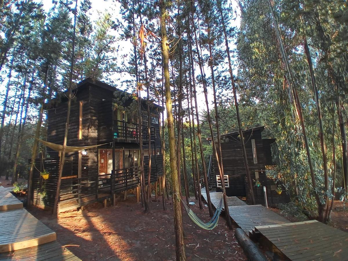 Lodge Terra Mar 皮奇勒姆 外观 照片