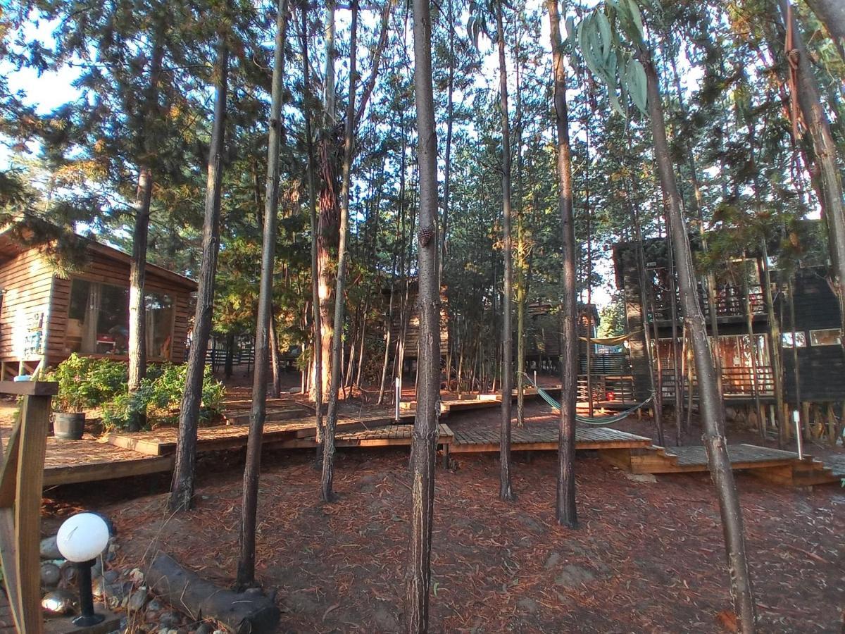 Lodge Terra Mar 皮奇勒姆 外观 照片