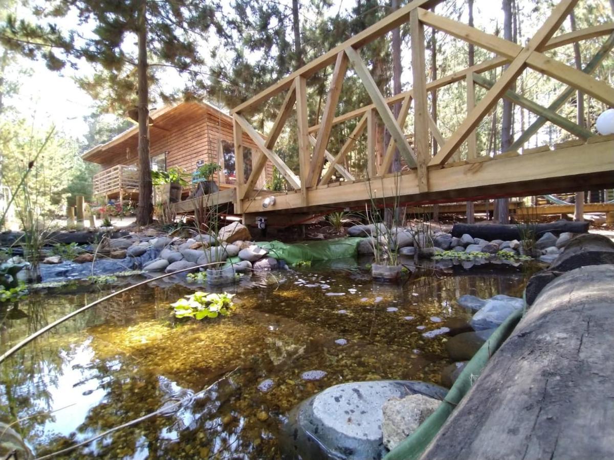 Lodge Terra Mar 皮奇勒姆 外观 照片